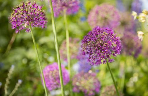 Rural Self-Contained 1Bed The Writer's Retreat - Foto 33