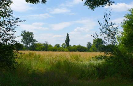 Ferienwohnung Fuchsberge - Foto 29