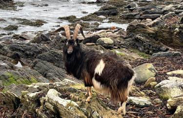 Charlotte Street Stay - Foto 52