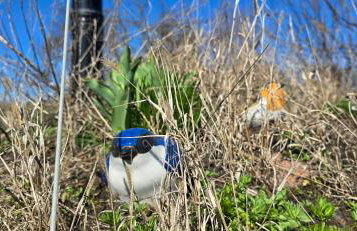 The Nest Koryciski Agroturystyka - Foto 9