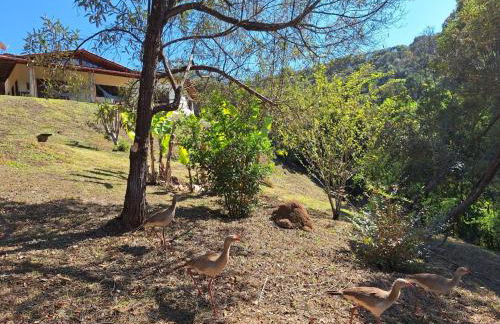 Retiro Sol e Chuva - Foto 33