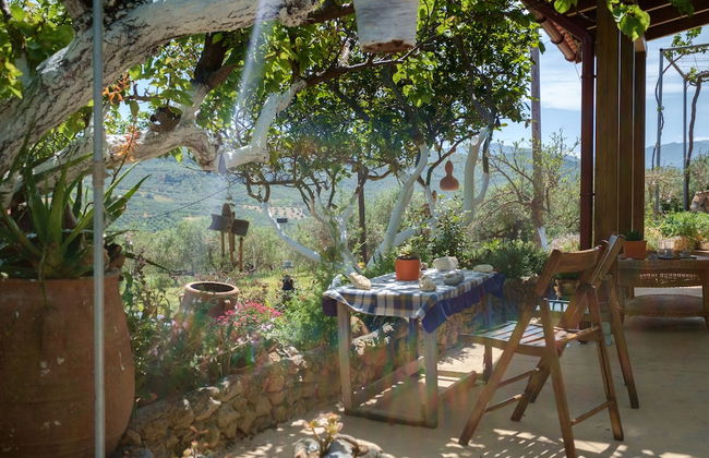 Traditional Cretan Family Home - Foto 22