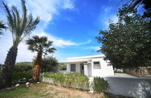 Olive garden house - Foto 36