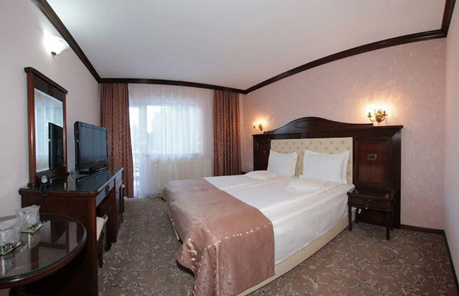 Vila Turistica Carmen Silvae - Foto 4