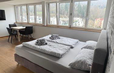 Moderne Apartments in attraktivem Altbau - Foto 9