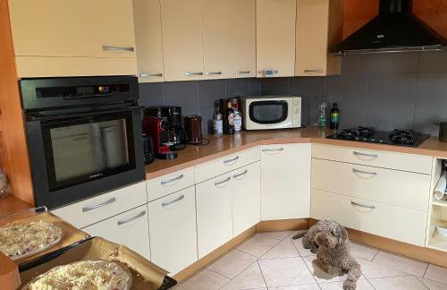 Chamois Rouge - Foto 15