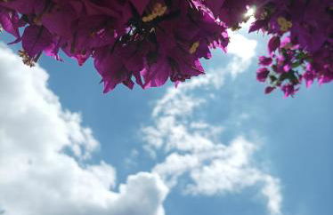 Can Pep Pardal - Foto 43