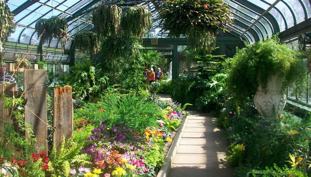 Butterfly Conservatory - Photo 2