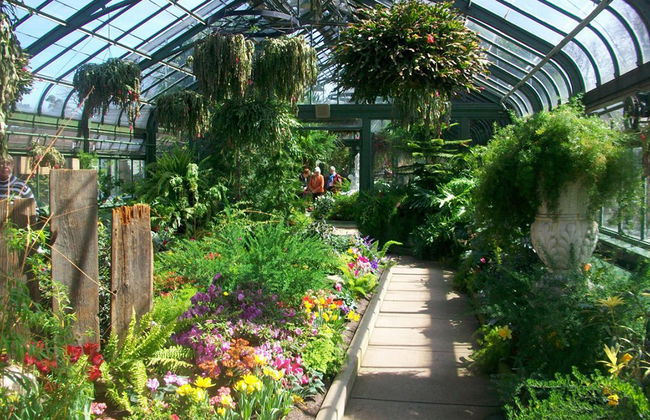 Butterfly Conservatory - Photo 2