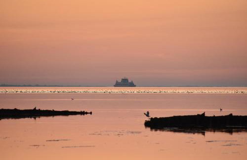 Friesenblau im Haus Schladenhaufen - Foto 22