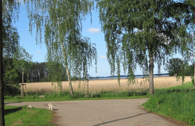 Alte Schnitterkate - Foto 74