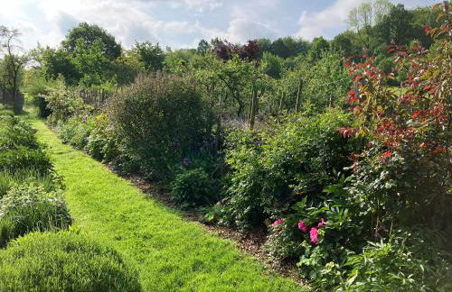 Iflands Hof - Foto 35