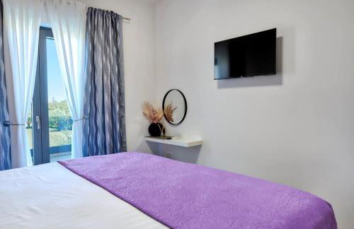 Brand new Villa Borina with pool - Foto 72