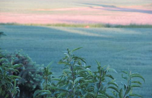 zum Wiesengrund im Oderbruch - Foto 11