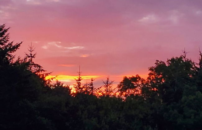 3 Bedroom Cottage - Hot Tub, Garden, Parking - Foto 32