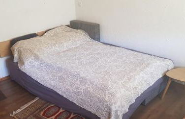 Ferienhof Ziegler - Studio Fingerhut - Foto 9