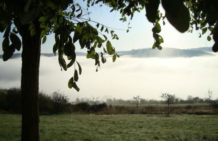 Ferienwohnung Eifelbergblick mit Garten, Schleiden, Wandern in the Eifel National Park, nähe Rursee - Foto 40