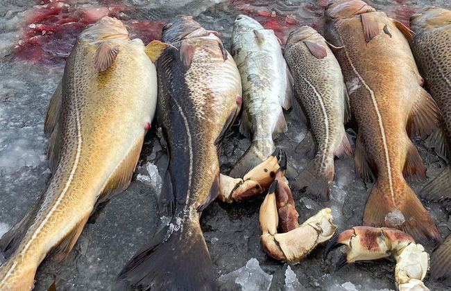 12 Person Holiday Home in Davik - Foto 32