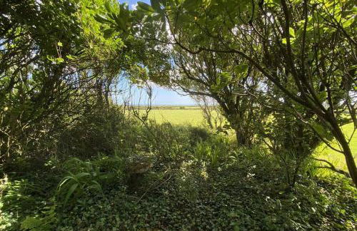 Arrowan Common Farm Cottages - Foto 39