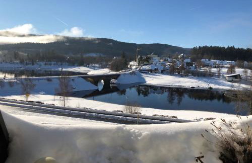 Apartment Blackforest-Schluchsee - Foto 14