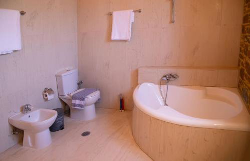 The Stone Project - Foto 19