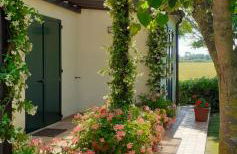 Silos Torrenova - Foto 2