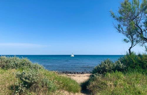 Jungle Spa - Cocon tropical et dépaysant avec balnéo en plein coeur de Pézenas ! - Foto 32