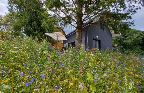 Bryziówka B - Foto 41