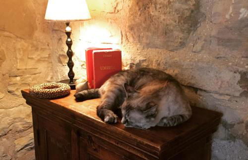 Agriturismo La Corte del Lupo - Photo 6