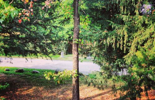 Le 5 Frecce - Foto 102