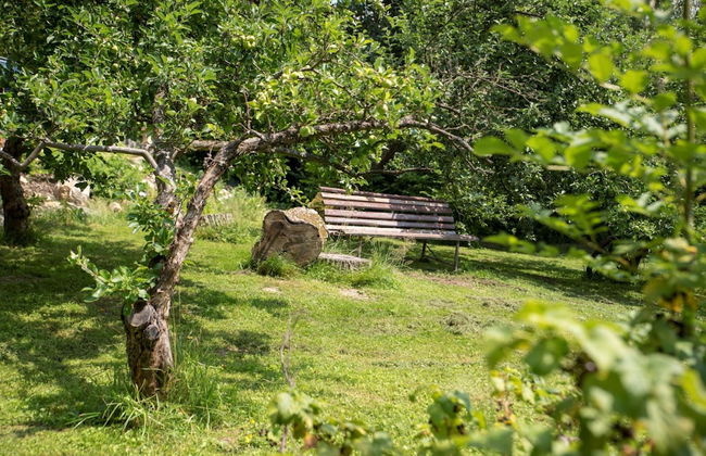 Rozstani Lrls025 in Svetl pod Je Tedem - Photo 51