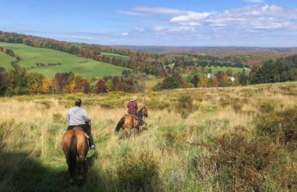 Cute Cottage Overlooking Sodus Bay- Direct Water Access - Foto 22