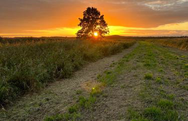 Słowińska Łąka - Foto 56