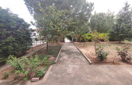 Rural Modern House - Foto 2