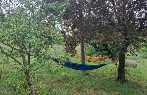 B&B dei Forestieri - Foto 19