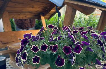 Ferienwohnungen in Erfurt - Foto 11