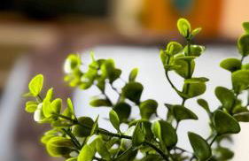 BOX 360 - Container SUSPENSO! - Foto 23