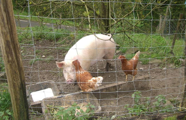 Casa Rural Goikola - Foto 18