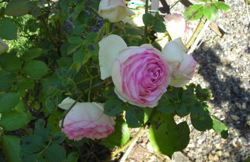 Belvilla by OYO Castello Grimalda - Le Zie - Foto 56