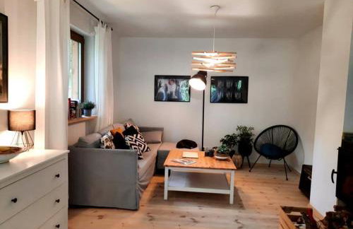 Między Brzozami - Foto 42