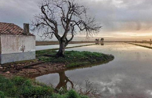 Apartament Dertosa - Foto 39