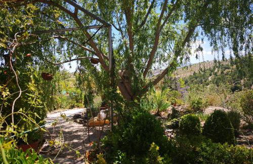 Casa Joya - Photo 30