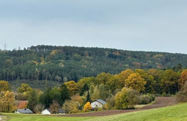 Ferienhaus Ella - Foto 42