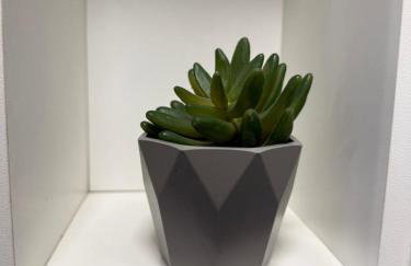 Studio Primeira Avenida - Foto 19