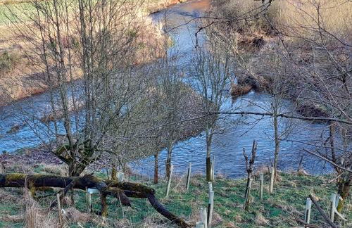 Cosy Countryside Cabin - Sleeps 2 Parking & Farm - Foto 12