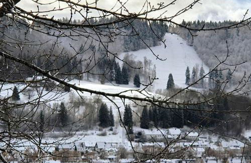 Studiowohnung SchwabenALB mit Panoramablick - Foto 29