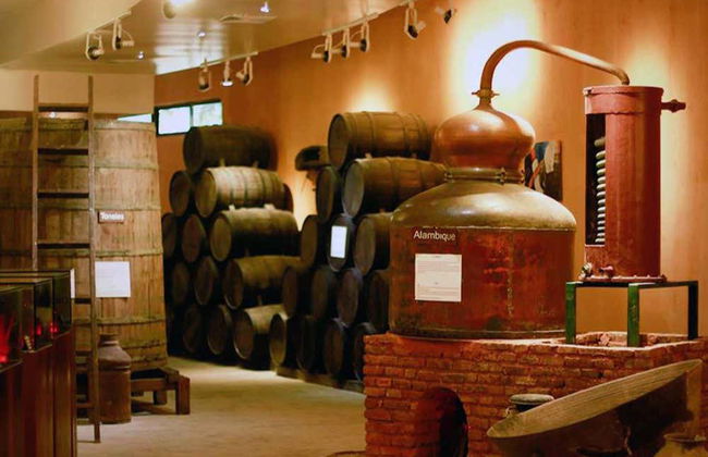 Visita al Centro Histórico Ron Barceló - Foto 7