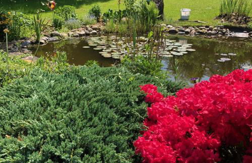 Ferienwohnung Maurer - Foto 17