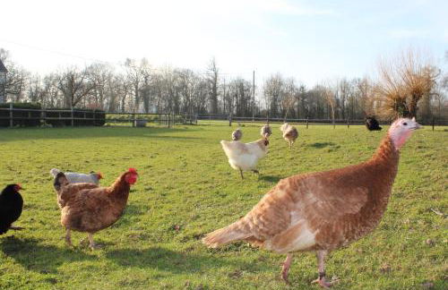 Domaine Des Piéris - Gîtes et Lodges - Photo 34