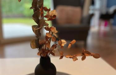 MiCasa OL - Deluxe Apartment mit Stil - Carport Stellplatz - Küche - WLAN - 3,7 KW Steckdose für E Auto - Terrasse - Photo 14